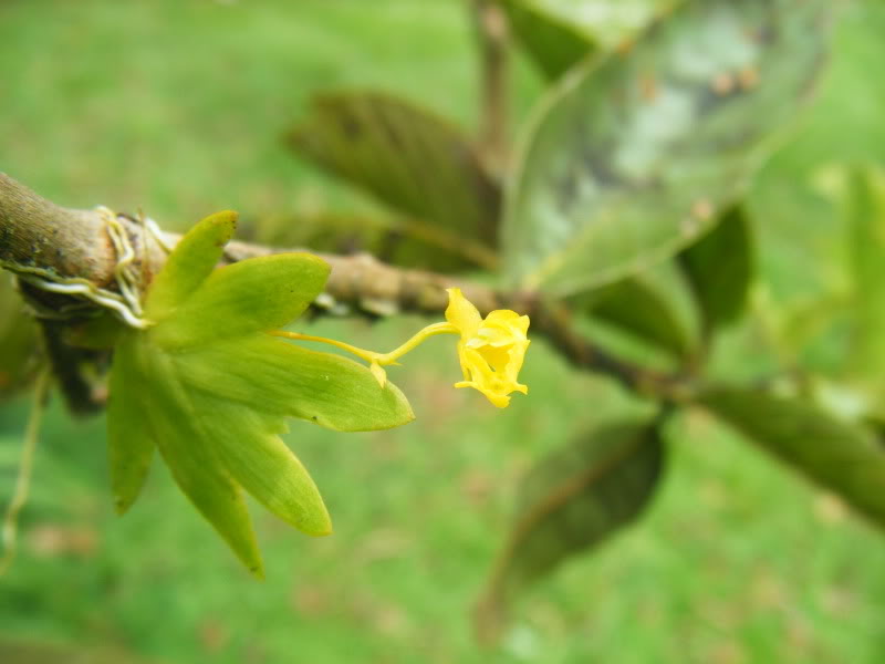 DSCF8978.jpg