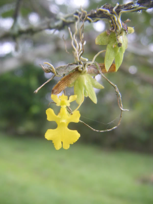 DSCF8996.jpg