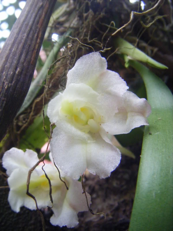 DSCF8998.jpg