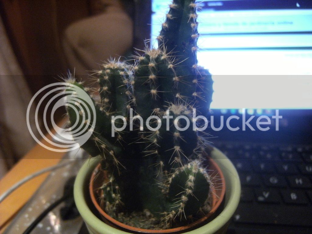 DSCF9323_zps3hpcwjij.jpg