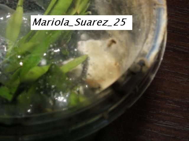 DSCF9418.JPG