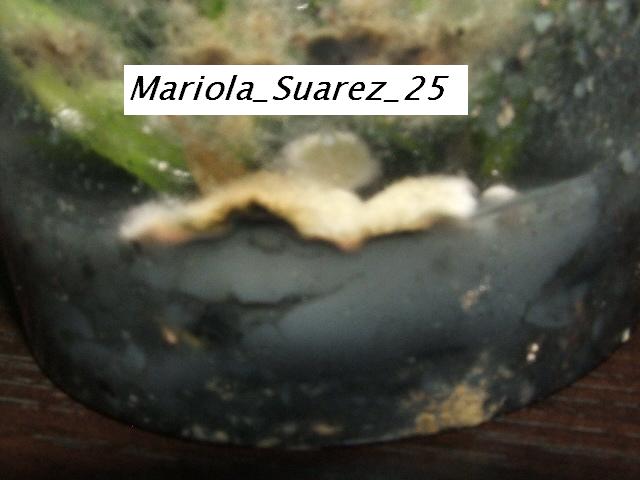 DSCF9419.JPG