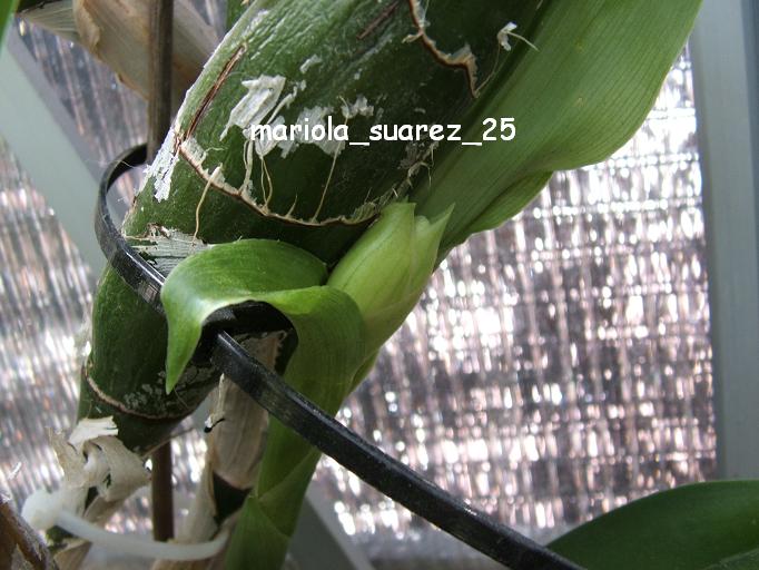 DSCF9872.JPG