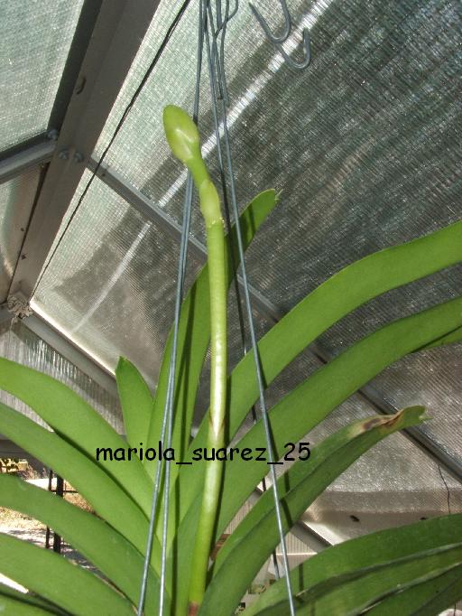 DSCF9877.JPG