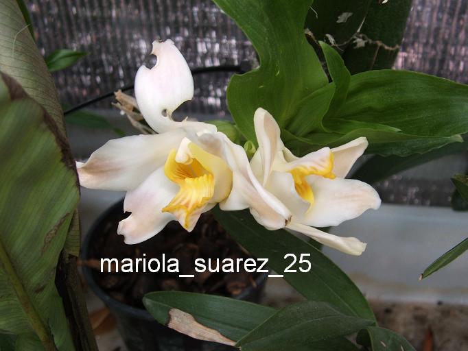 DSCF9907.JPG