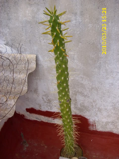 DSCI0001-6.jpg