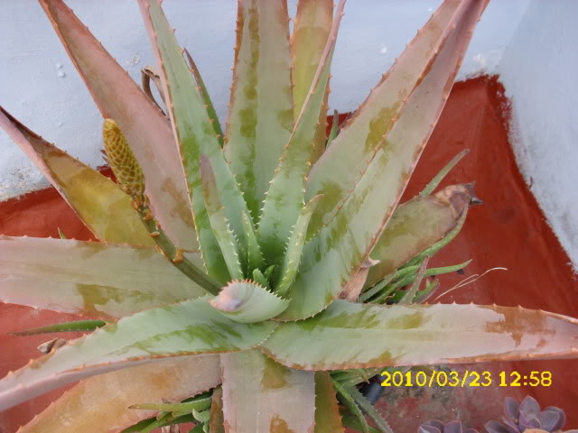 DSCI0003-4.jpg