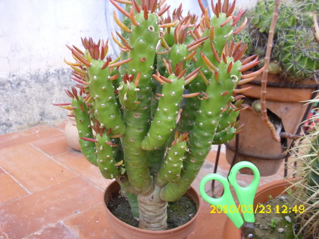 DSCI0006-1.jpg