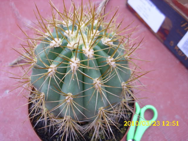 DSCI0012-2.jpg