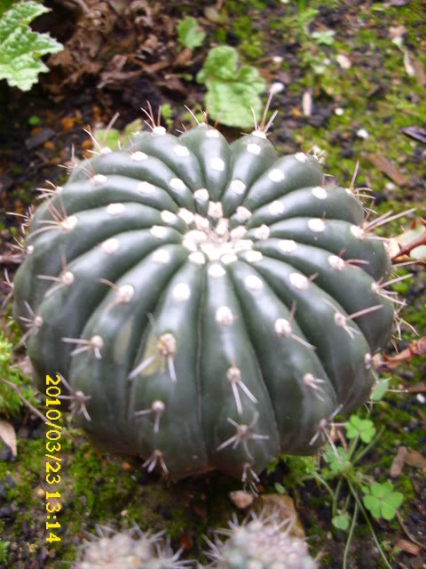 DSCI0016-1.jpg