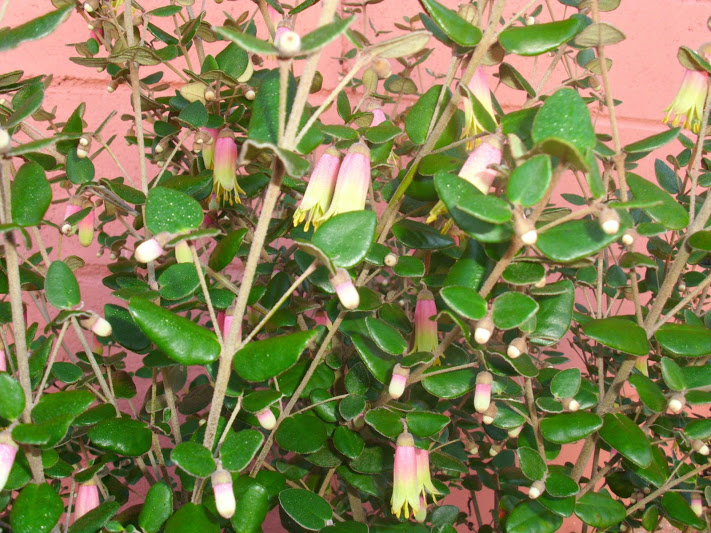DSCI0115.JPG