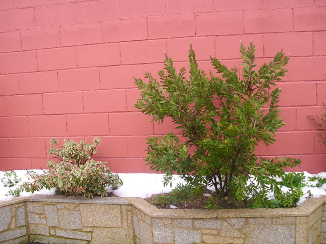 DSCI0133.JPG