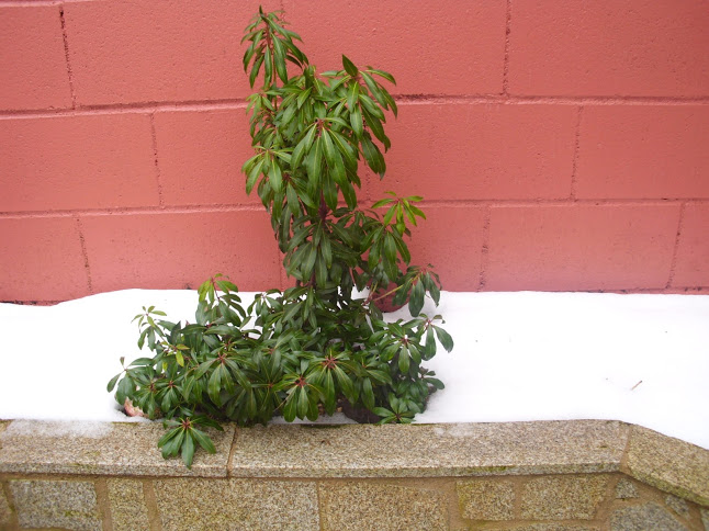 DSCI0134.JPG