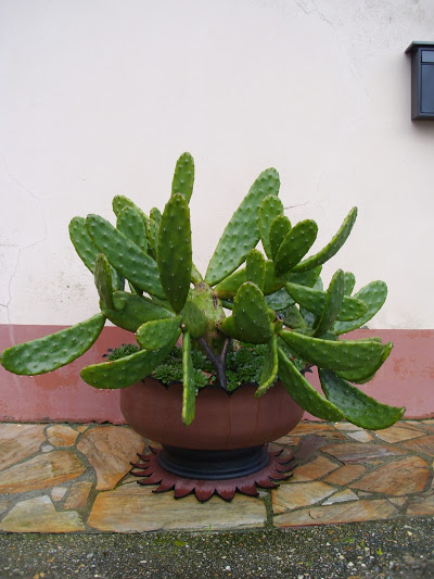 DSCI0169.JPG