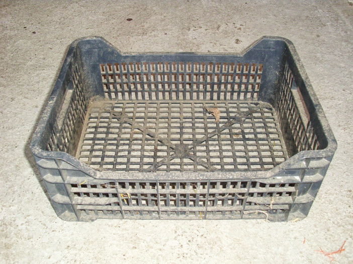 DSCI0206.JPG