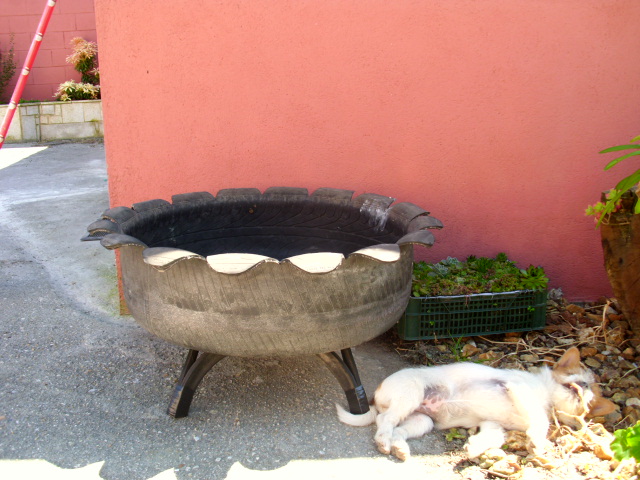 DSCI0355.JPG