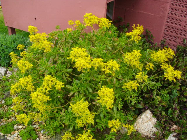 DSCI0358.JPG