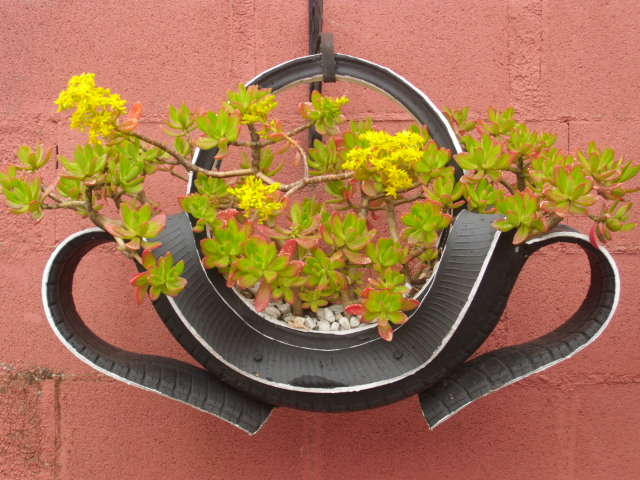 DSCI0380.JPG
