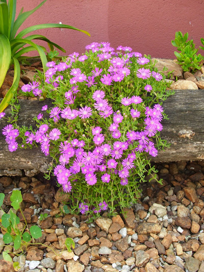 DSCI0789.JPG