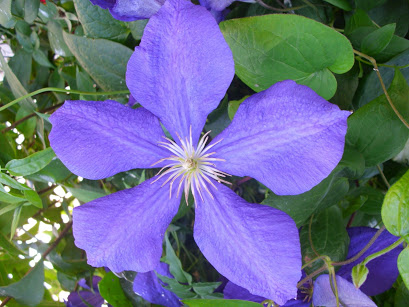 DSCI0843.JPG