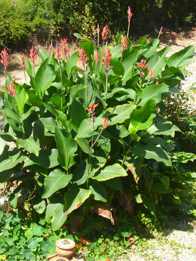 DSCI0846.JPG