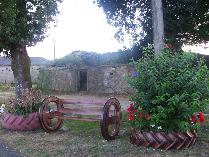DSCI0869.JPG