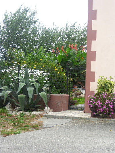 DSCI0881.JPG