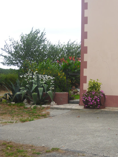 DSCI0882.JPG