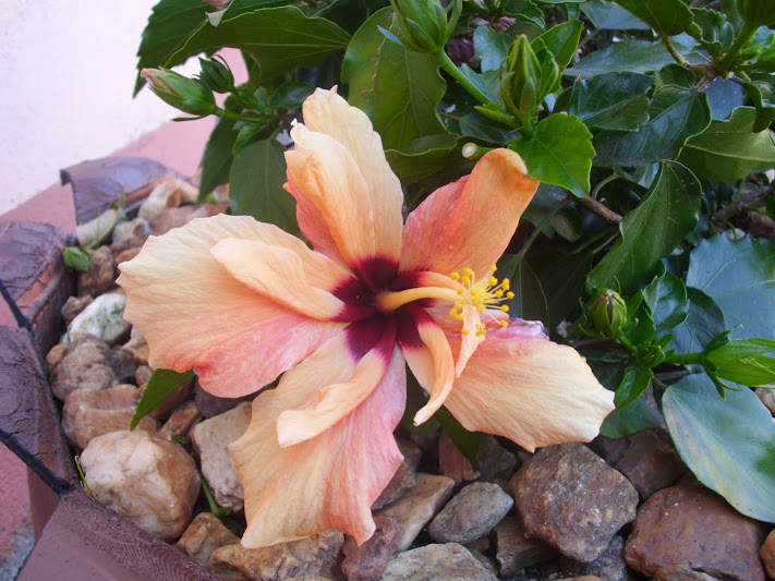 DSCI0892.JPG