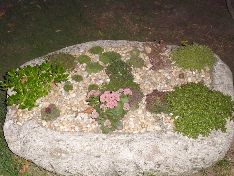 DSCI0929.JPG