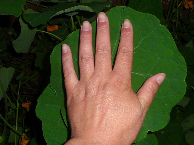 DSCI0934.JPG