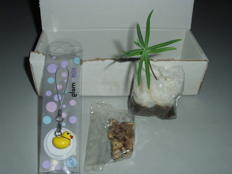 DSCI0939.JPG