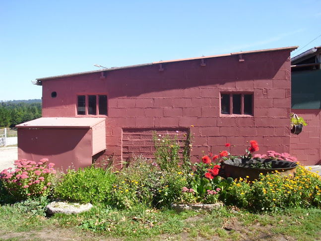 DSCI0940.JPG