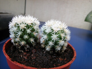 DSCN0003%7E0.JPG