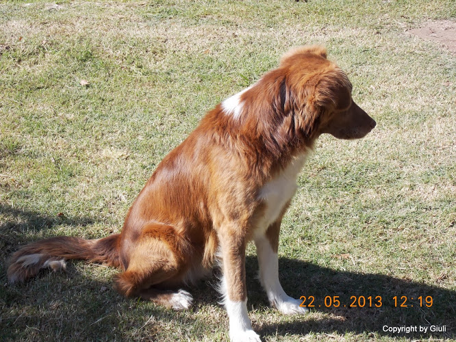 DSCN0008.JPG