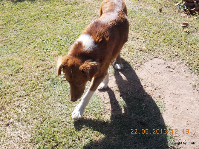 DSCN0009.JPG