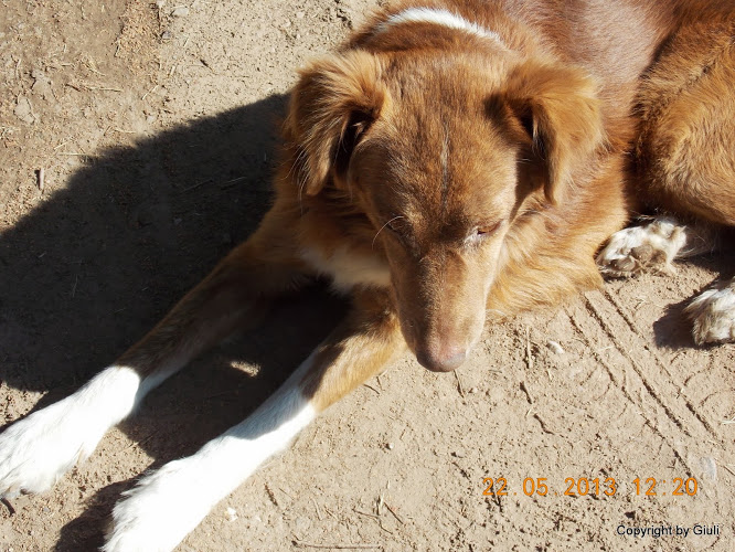 DSCN0014.JPG
