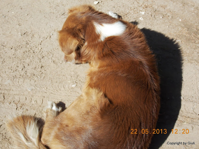 DSCN0015.JPG