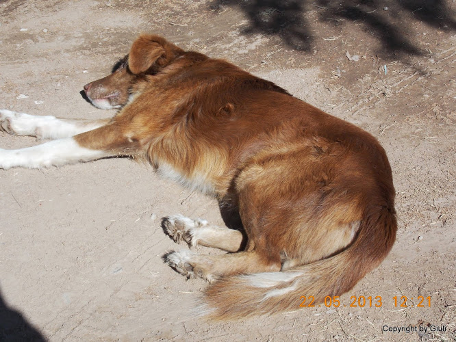 DSCN0016.JPG