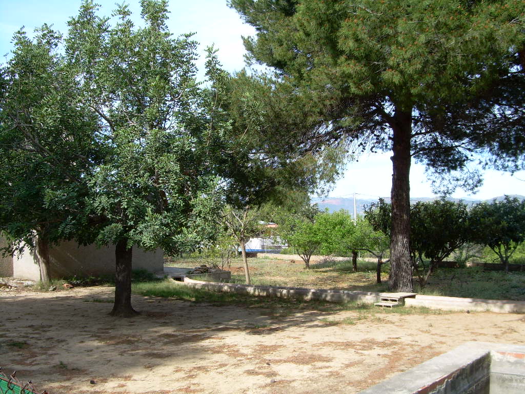 Dscn0017%7E0.jpg
