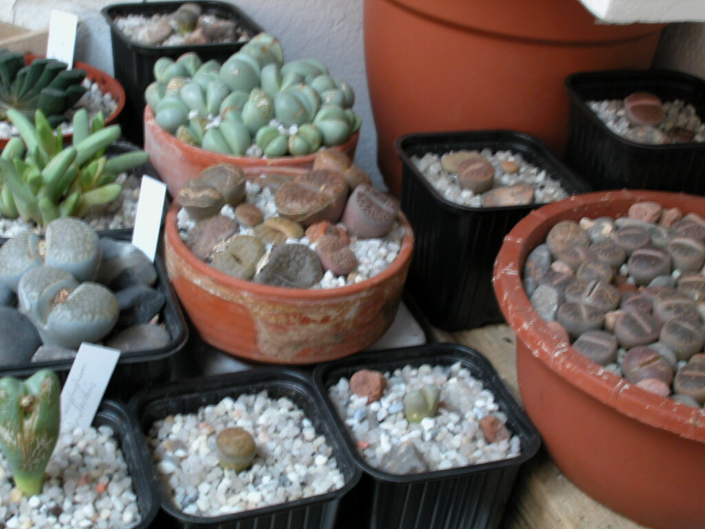 Dscn0017%7E1.jpg