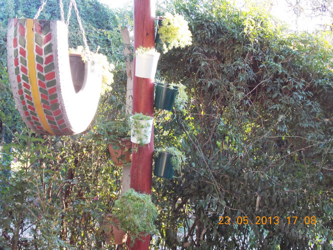 DSCN0023.JPG