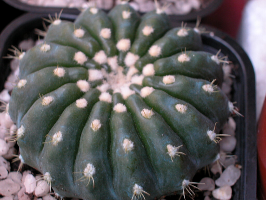 Dscn0026%7E0.jpg