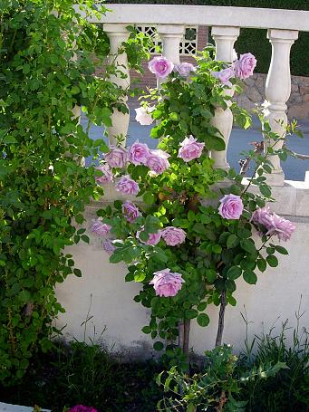 DSCN0031.JPG