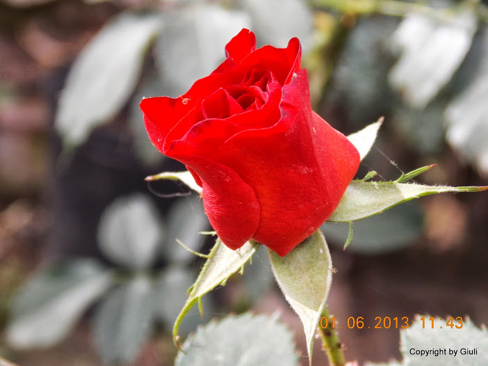 DSCN0031.JPG