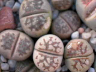 Dscn0032.jpg