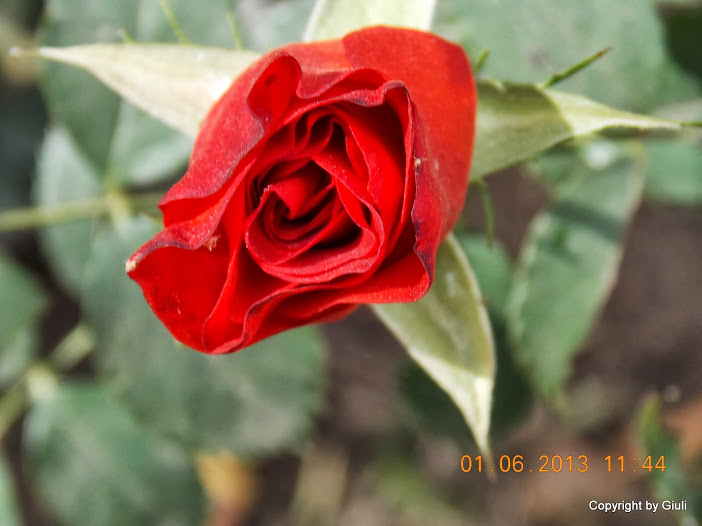 DSCN0032.JPG