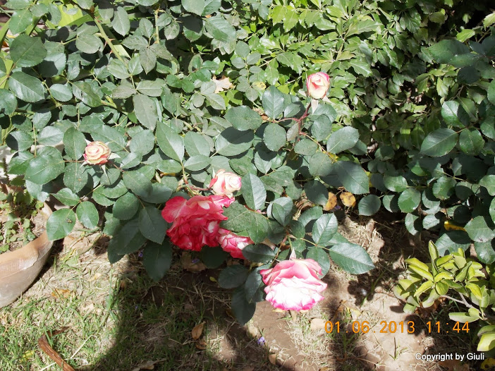 DSCN0033.JPG