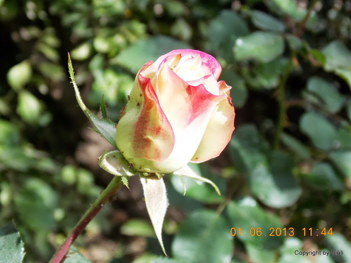 DSCN0034.JPG