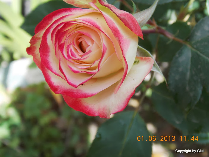 DSCN0036.JPG